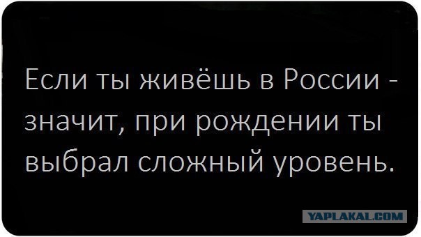 Весёлые картинки. Разбавим будни