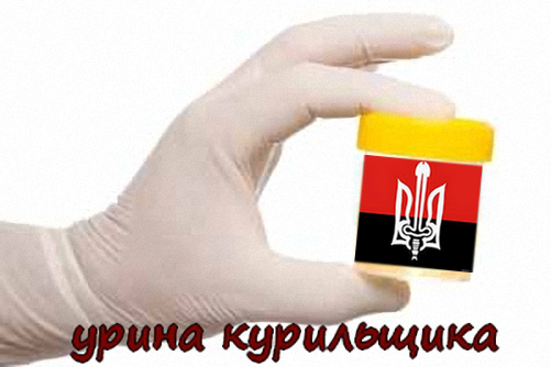 Визит Путина в Севастополь возмутил Украину
