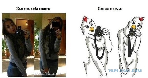 Смешные картинки