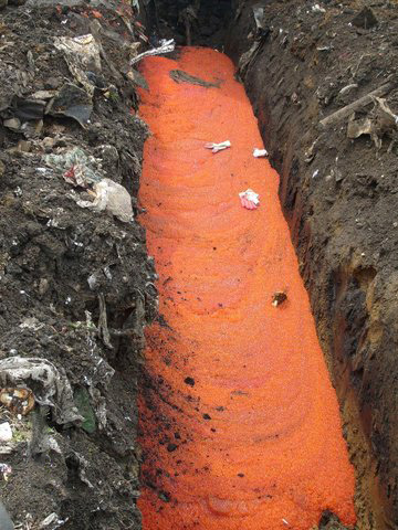 Как сгорает тонна красной икры