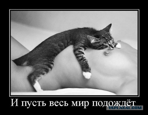 Делаем малыша!