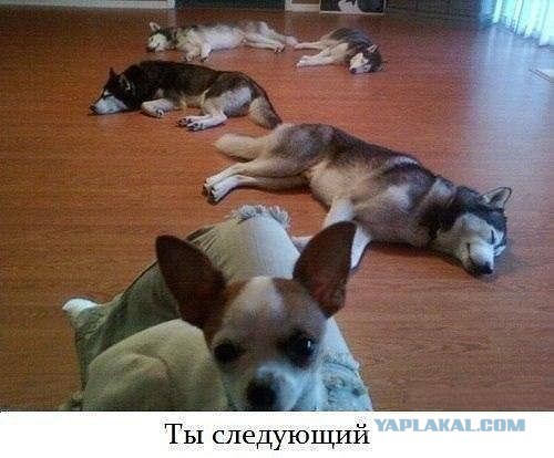 Демотиваторов пост, добавляйте свои