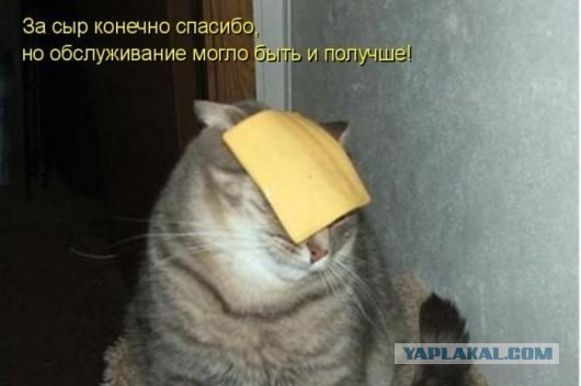 Смешное из сети