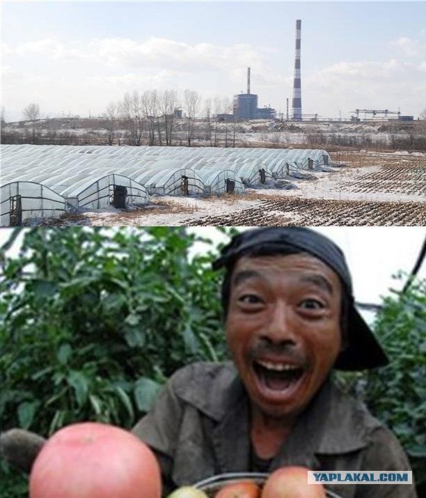 Покупай Российское — это легко!