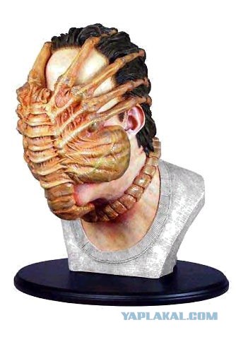 Картинки и необычные рифмы