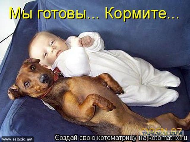 Немного братьев наших меньших! ЧЕТВЕРГ
