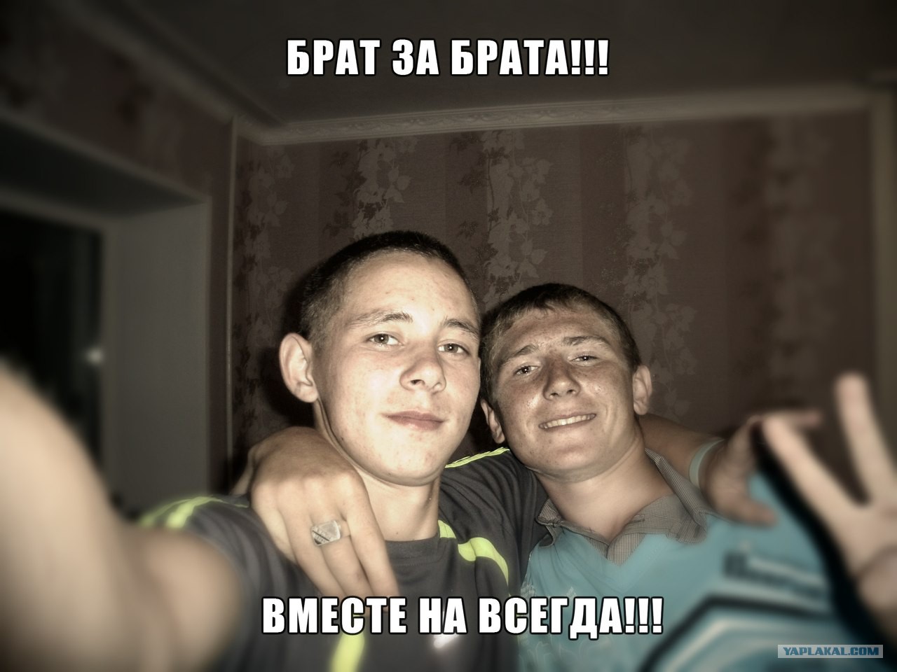 брат я люблю ее цитаты. брат. брат за брата прикол. брат представился братом. брат брату брат брат.