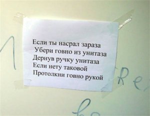 10 щекотливых, но важных фактов о стуле (18+)