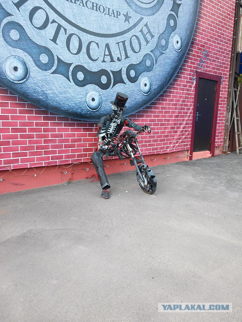 Веселые картинки