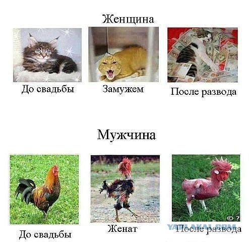 15 картинок с тЫрнета