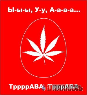 МОБИЛЬНАЯ СВЯЗЬ. Операторы, провайдеры