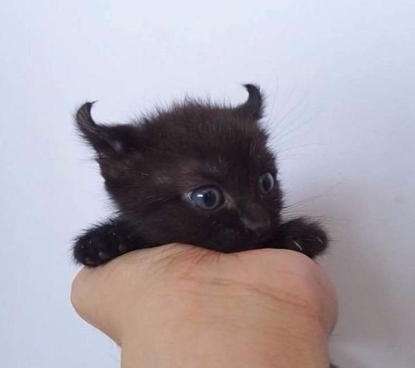 Подборка картинок на среду