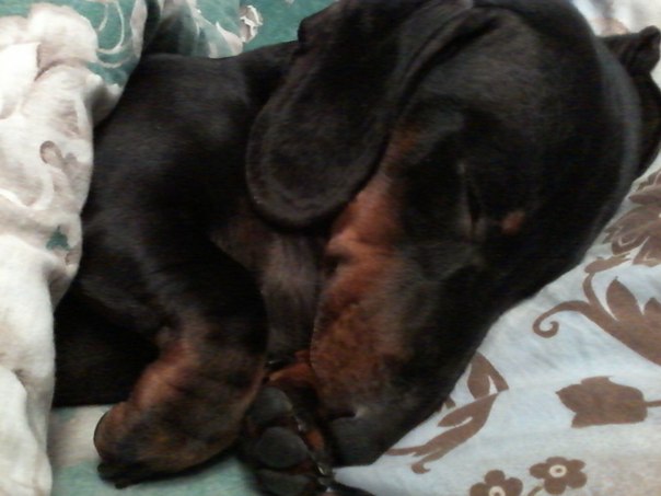 Памяти ушедшего рано Друга