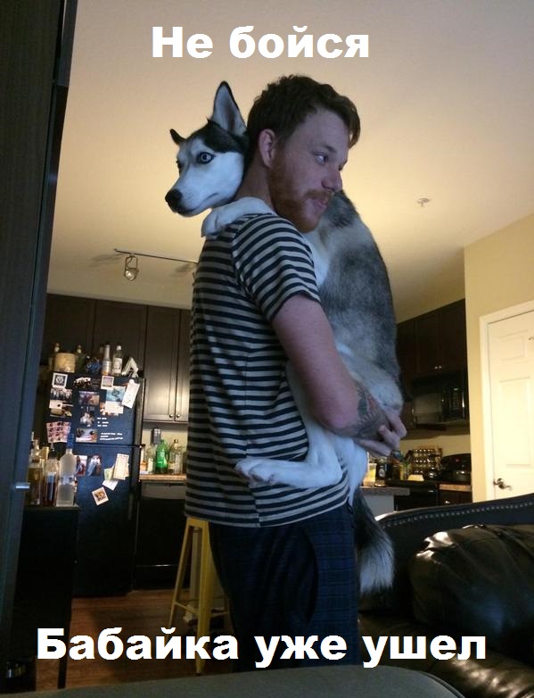 Я устал, возьми меня на ручки