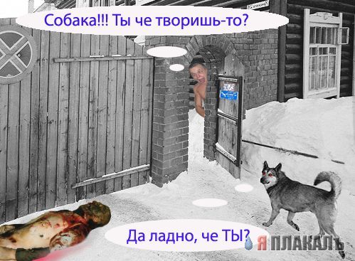 Фотожаба: Я Табличка