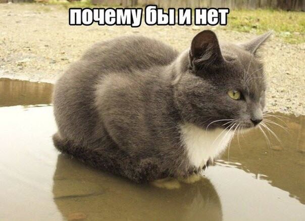 Абсурдный юмор ч.26