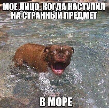 Всякое разное из интернета