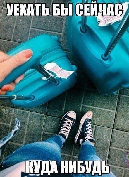 Картинки и приколы из сети