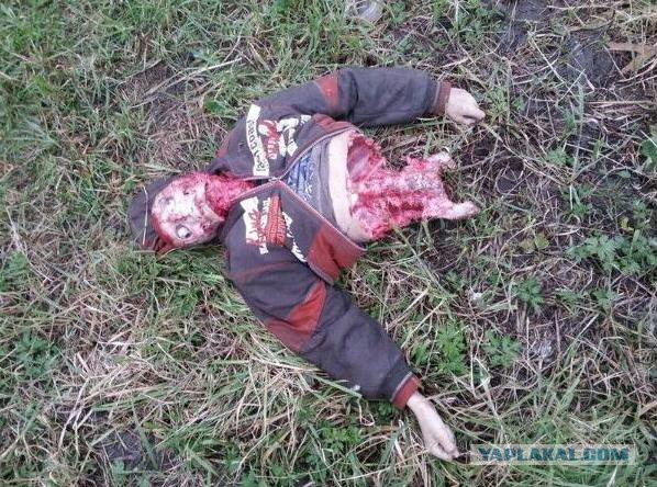 Догхантеры начали травить собак в Ижевске.