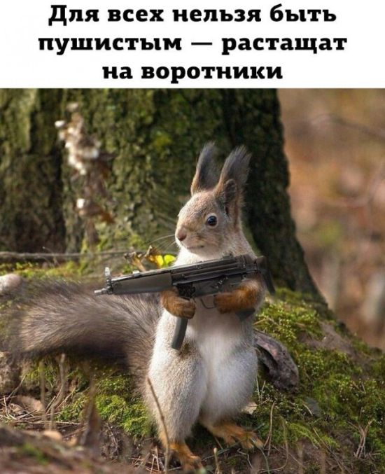 Подборка интересных и веселых картинок