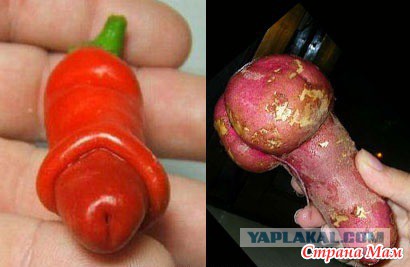 15 неожиданных вещей, которые страшно похожи друг на друга