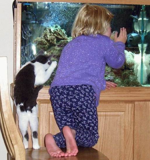 Каждому Свое