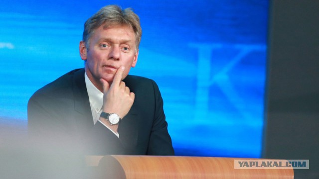 Песков прокомментировал слова Путина о «пурге»