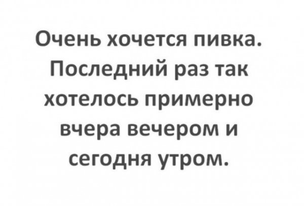 Анекдоты, соц-сети и картинки с надписями