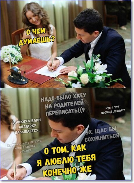 Применим физику в постели или белка и стрелка. Картинки