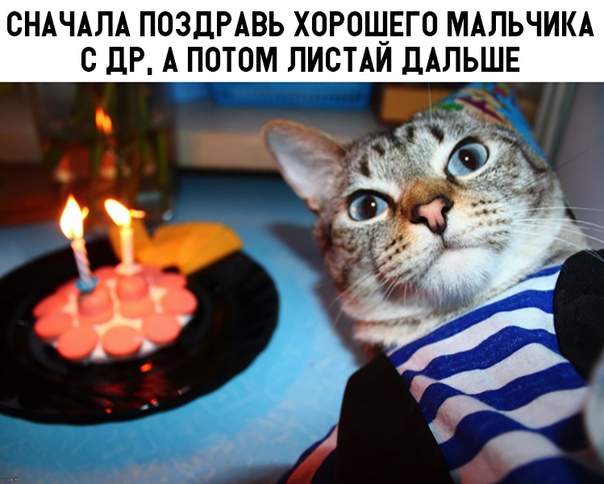 Забавные шутки, картинки и фразы из этих ваших интернетов