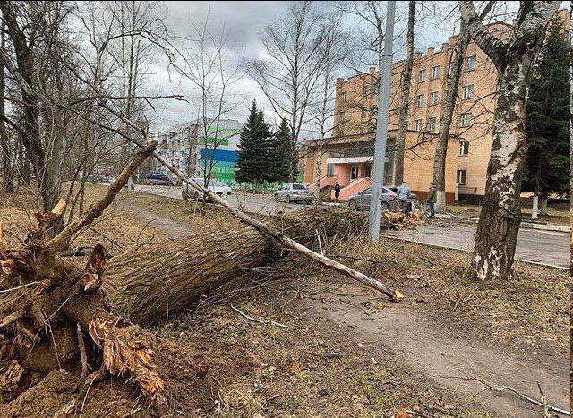 "Лютый ветер в Москве" и его последствия