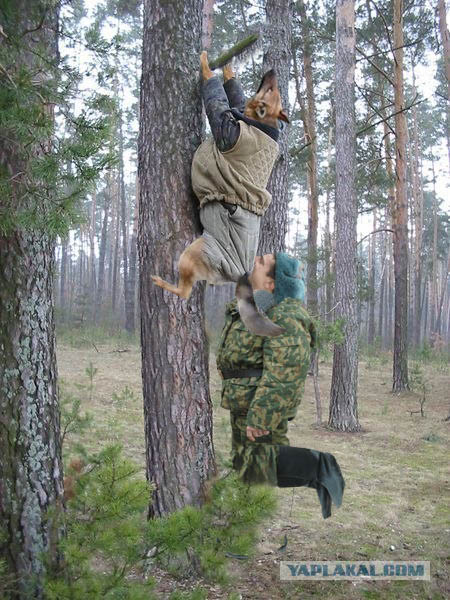 Фотожаба: Охотник и его верный пес