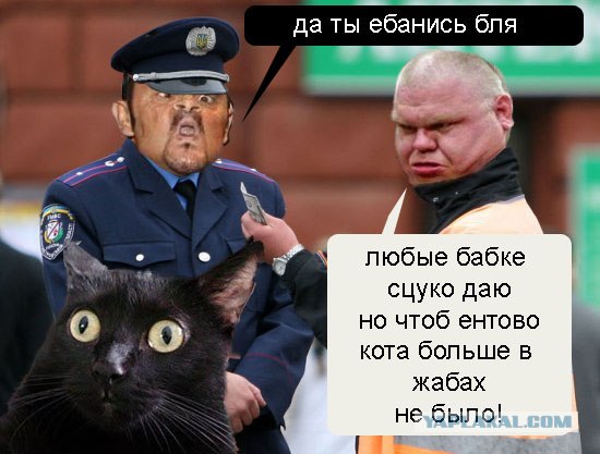 Фотожаба: Ты че, спалимся!