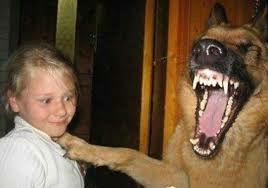 Азербайджан нанес удар по воинской части на территории Армении