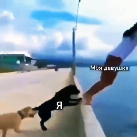 Шутки от пользователей социальных сетей про расставания