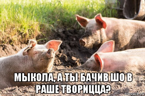 Люди добрые, а что происходит с ценами?