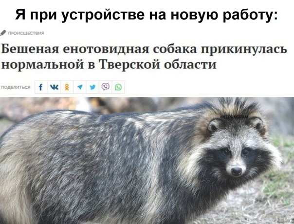 Картинки и мемы для настроения