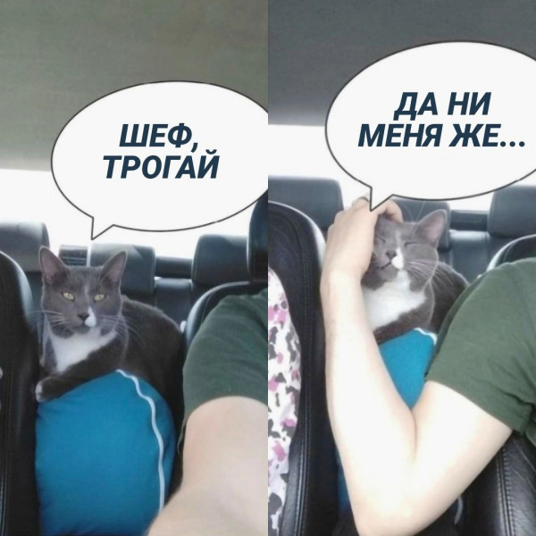 Картинки и мемы. Выходные близко...