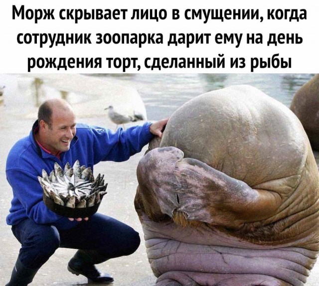 Картинки и мемы. Выходные близко...