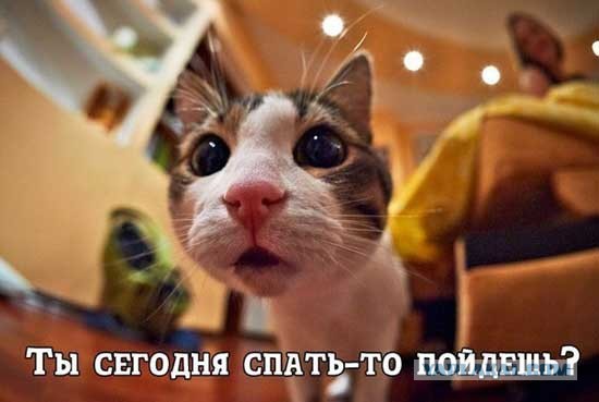 Прикольные и просто красивые картинки 15.11.22