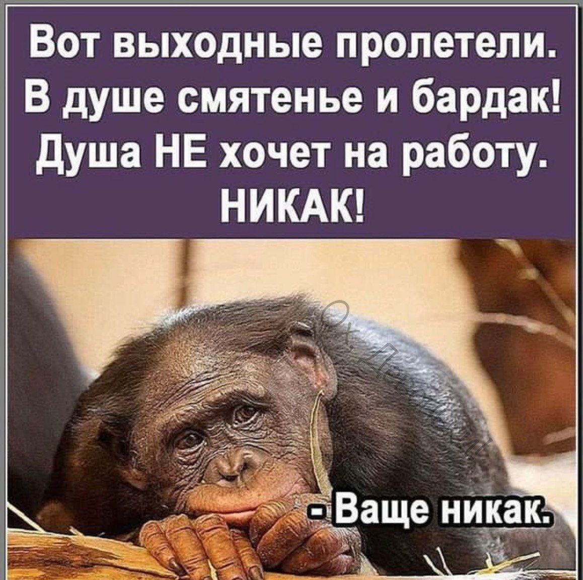 Завтра понедельник... - ЯПлакалъ
