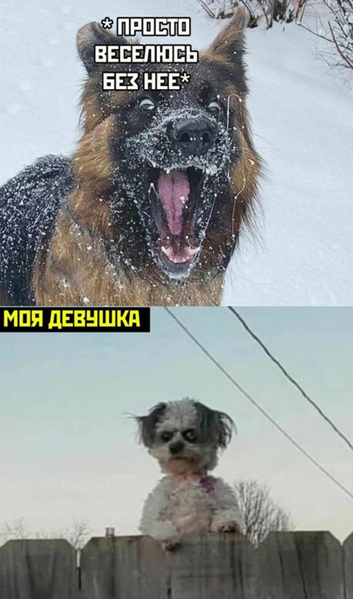 Немного картинок для настроения - 135