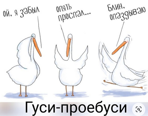 Гусь вялый