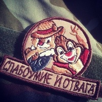Дикие гуси - рассказ современного наёмника
