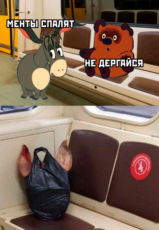 18782533.jpg