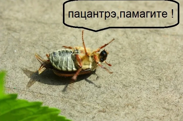 Поймал, поймал!