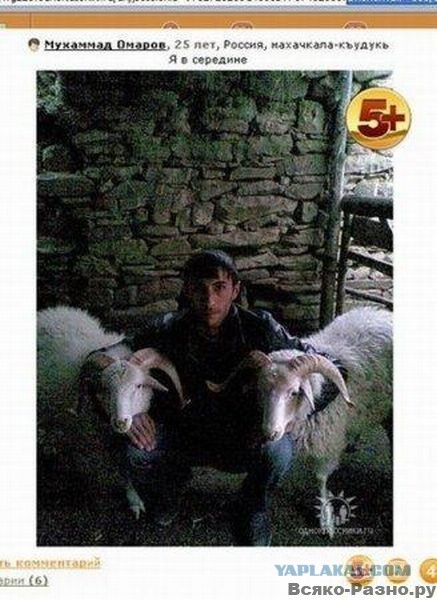 Азиатский брат свидетеля из Фрязино