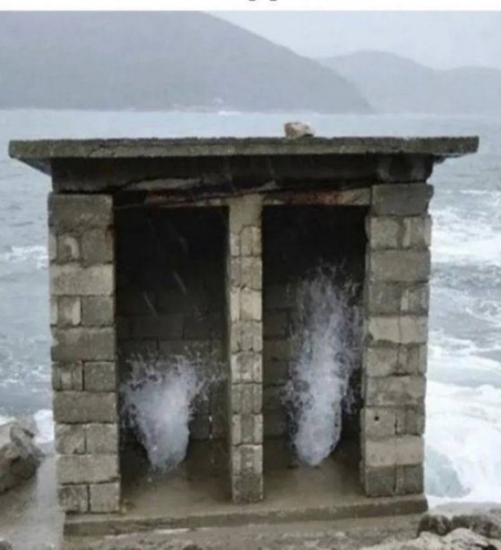 https://s00.yaplakal.com/pics/pics_original/3/3/5/19242533.jpg