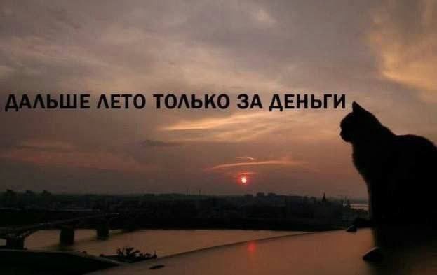 Всего понемногу. От 03.09.24