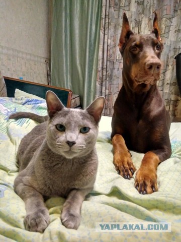 А у Даны д.р. Ей 10 лет!
